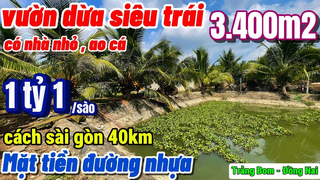 Nhà đất đồng nai, kẹt quá cần bán gấp nhà vườn, ao cá mặt tiền đường nhựa có thu nhập ổn định giá rẻ