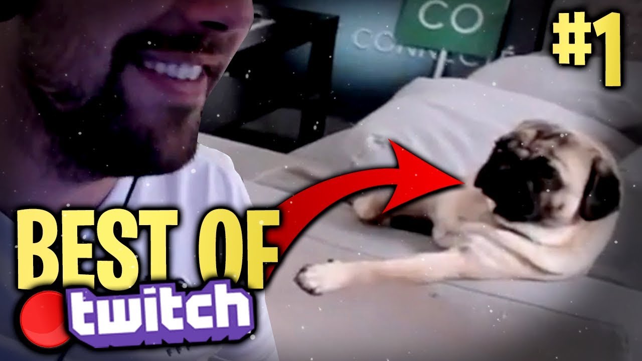 MUSTANG À SA CASE ! - MON PREMIER BEST OF TWITCH