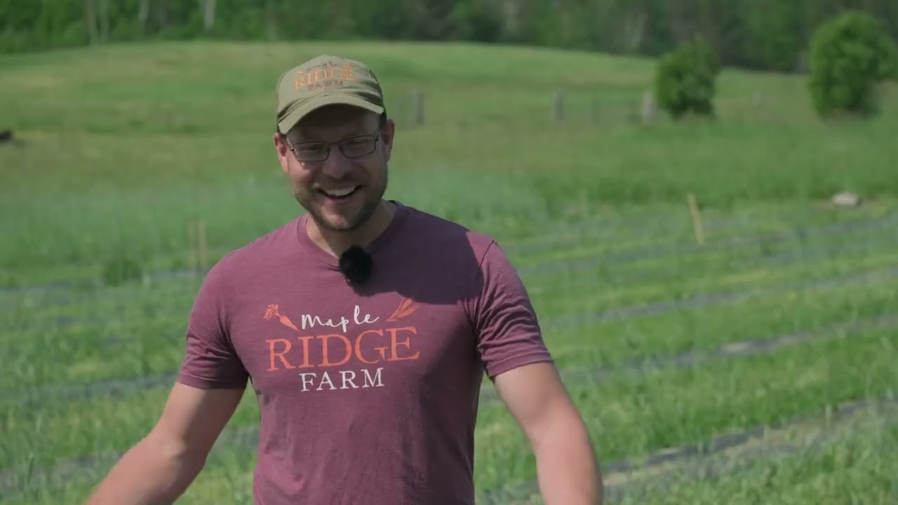 Cover crops and fall bed prep for climate resilience