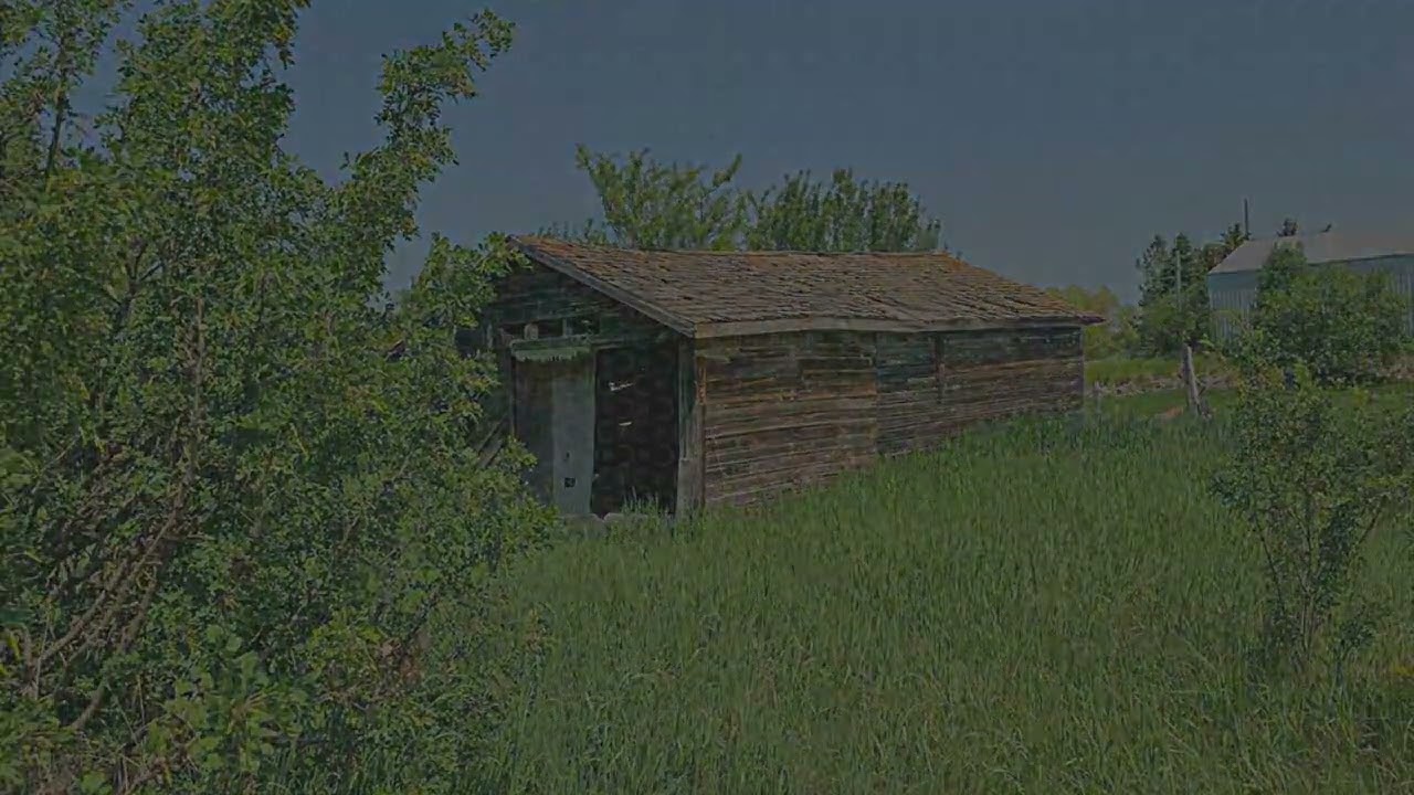 6003 49 Street Rural Beaver County, AB T0B 4J0