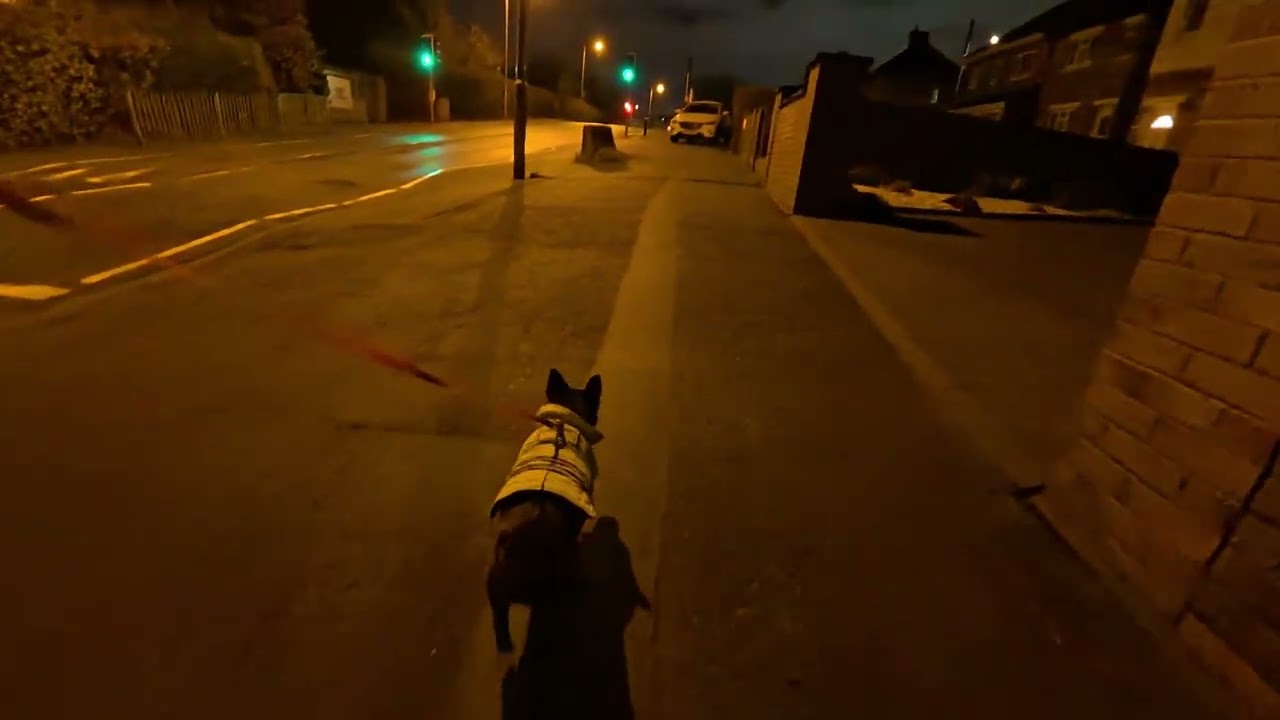 It's rained, badly... She hates heavy rain.. SOZ [DOG POV/MIC[