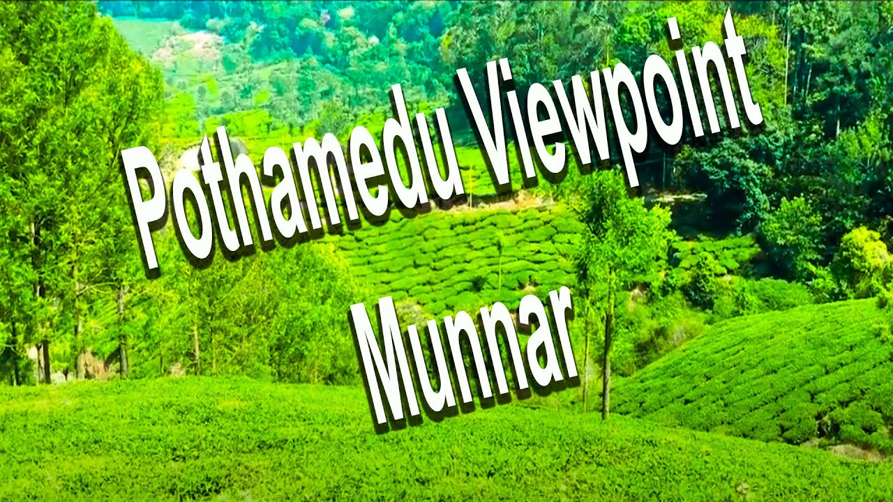 Pothamedu Viewpoint  Munnar [ Idukki, Kerala, India ]