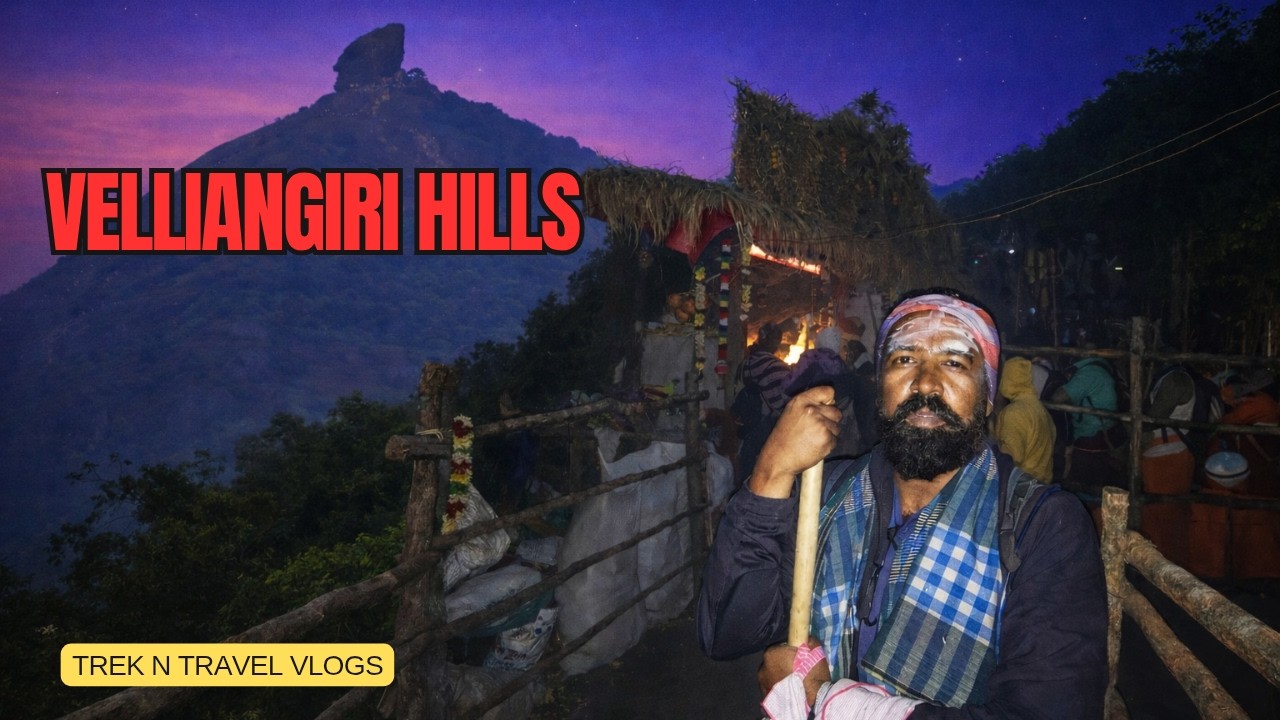 Velliangiri Hills Trek 2026 😍| Trek n Travel Blogs #trekking #velliangirihills #nighttrek #forest