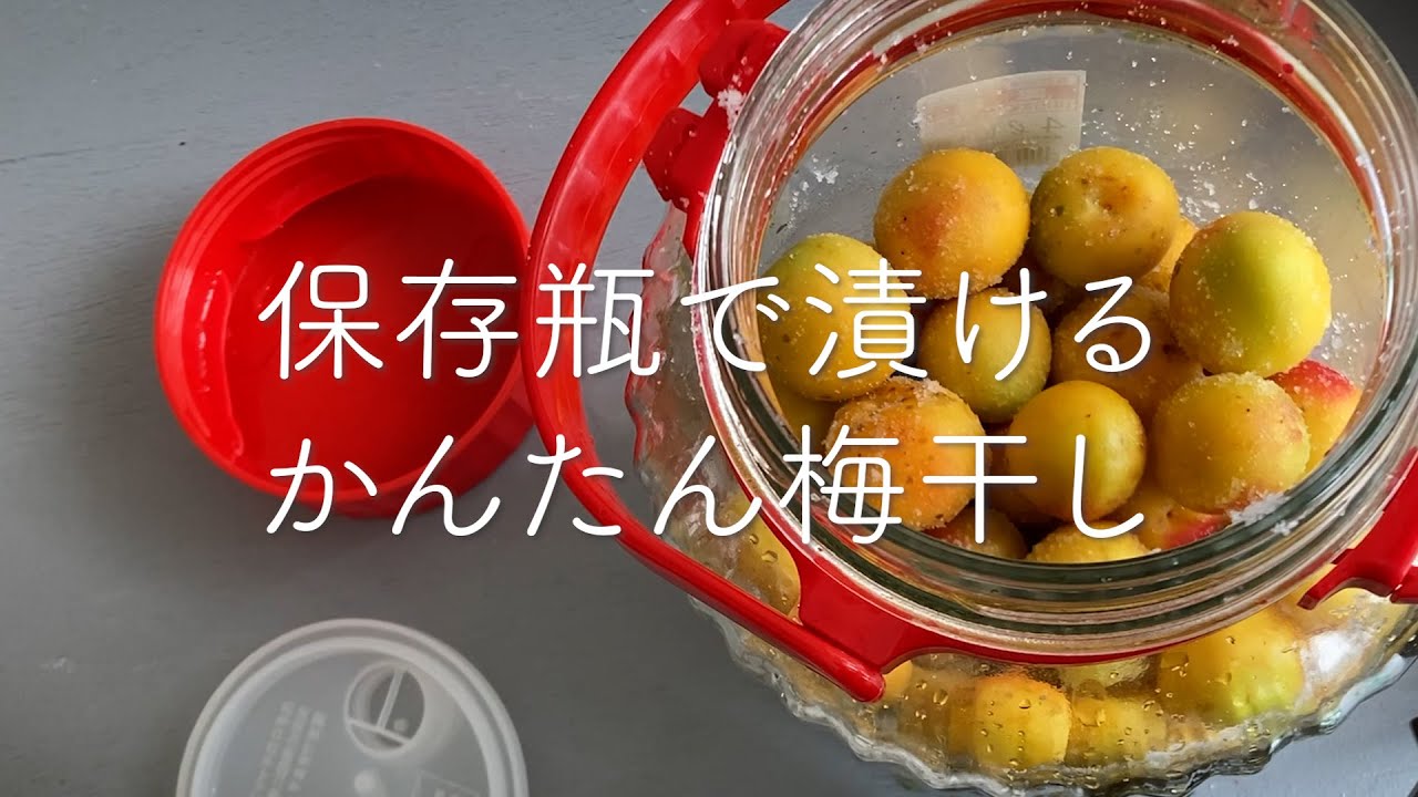 [梅干し]「重し」なし　保存瓶でつける簡単梅干し　#梅干し