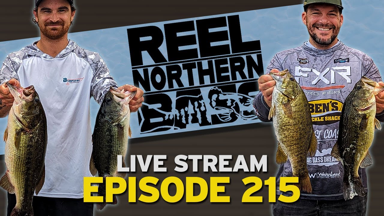 Reel Northern Bass Talk Livestream!