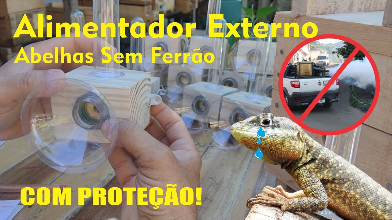 Alimentador Externo para Abelhas Sem Ferrão estilo Roso - Modelo com proteção!