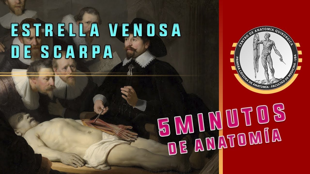 ESTRELLA VENOSA DE SCARPA - 5 Minutos de Anatomía