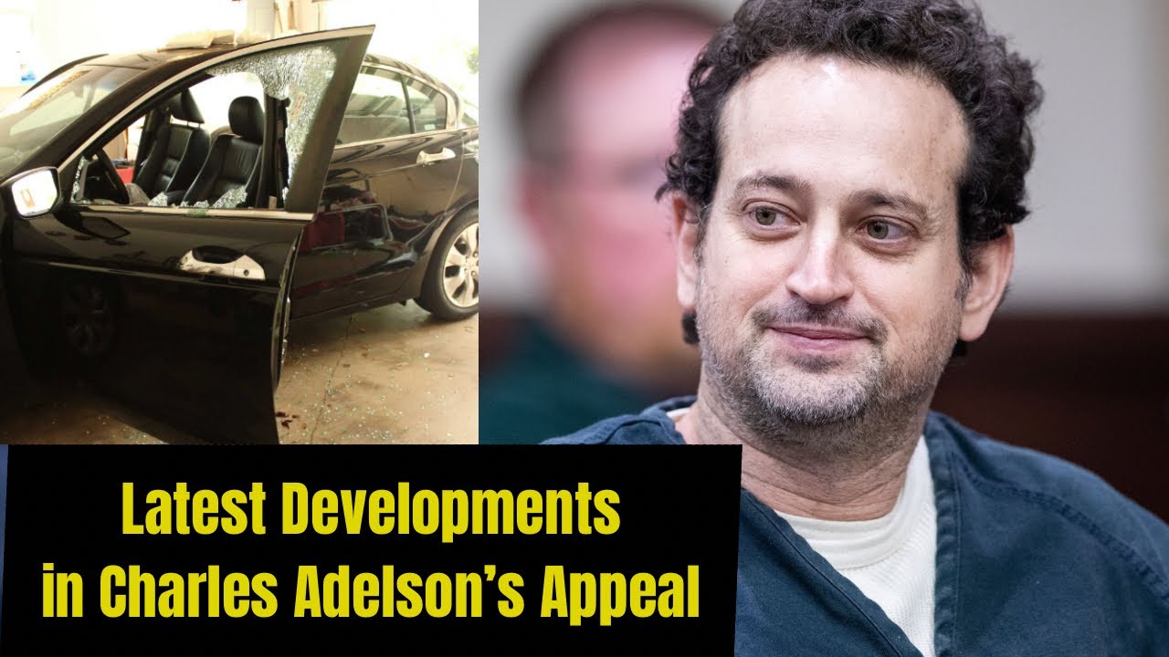 New Development in Charles Adelson's Appeal plus briefs (Initial Brief, Answer Brief, Reply Brief)