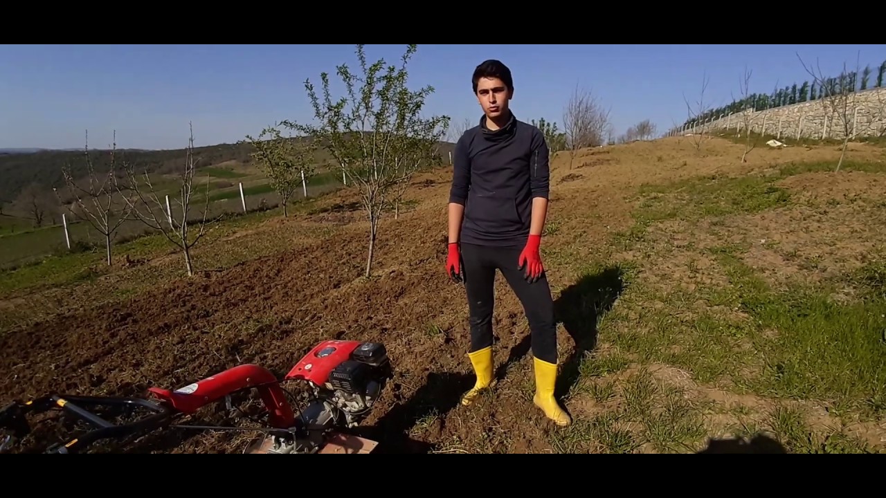 Antrac 200 Honda GX 200 Benzinli Çapa Makinası #Tarım Vlog # 1