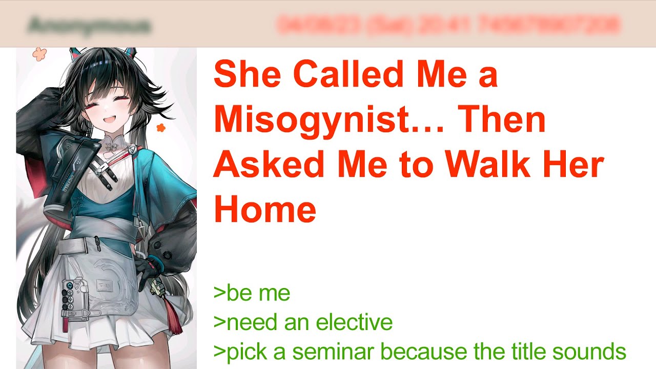 She Called Me a Misogynist… Then Asked Me to Walk Her Home | 4Chan Greentext Stories