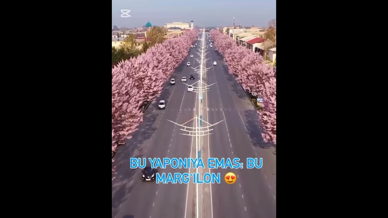 &Yacute;н етти ёшингдадур. Нигох,ий ше'ри.Интелект.А.Нурматов монтажи. Водийхофизмузик