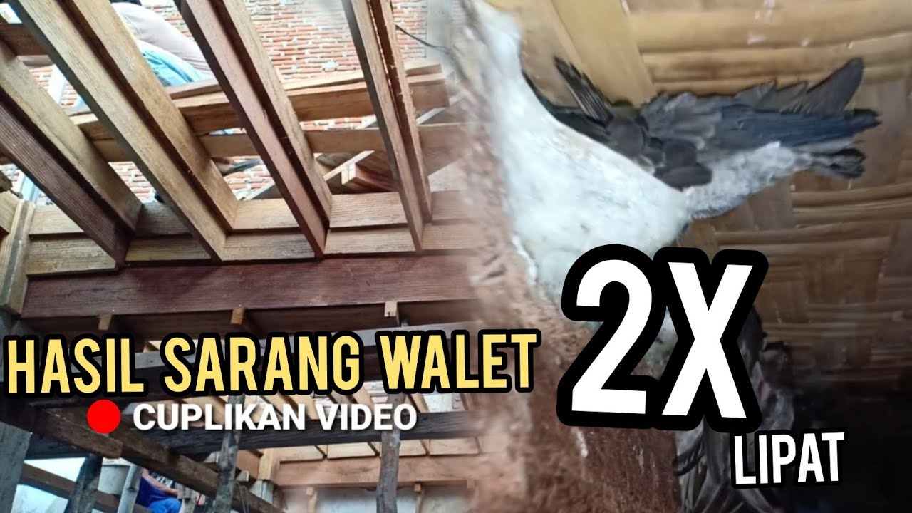 BENTUK PAPAN SIRIP YG CEPAT BERSARANG DAN HASIL 2 KALI LIPAT