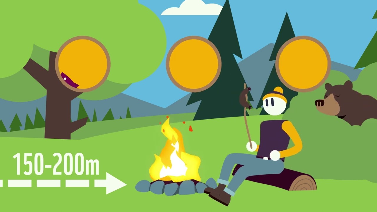 How to Go Camping Around Bears