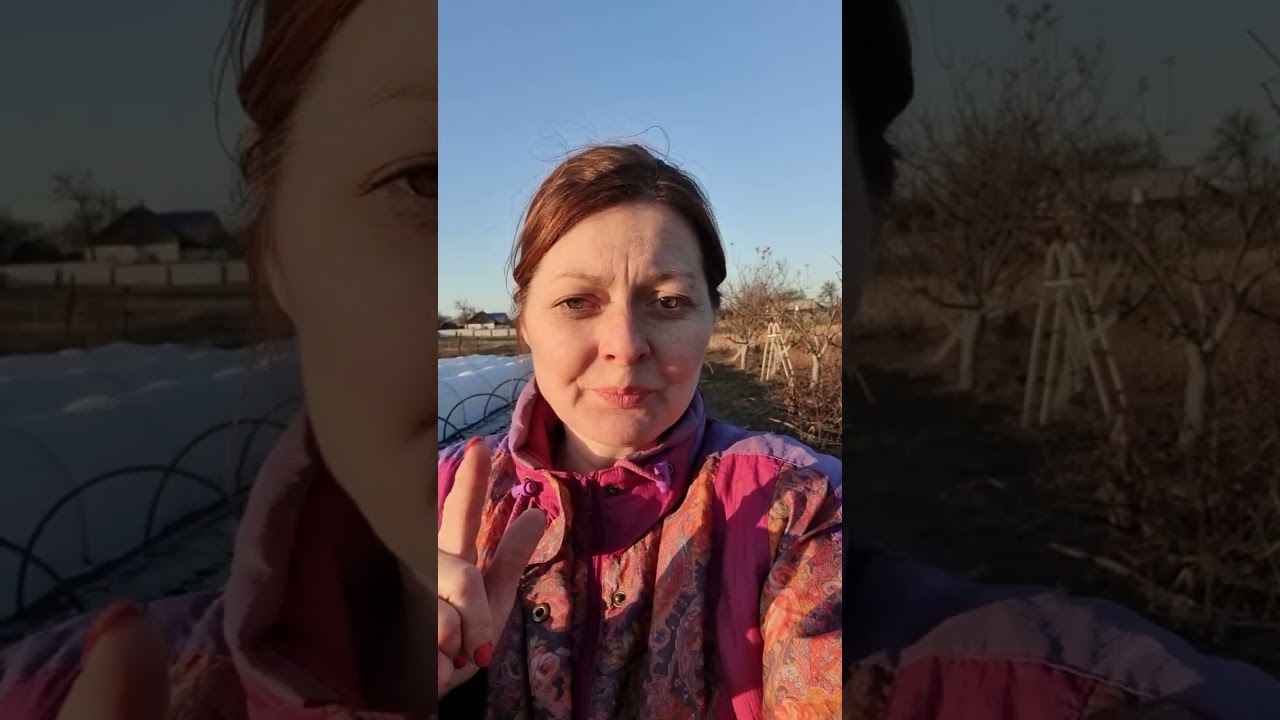 Перша весняна обробка полуниці. Прискання дерев