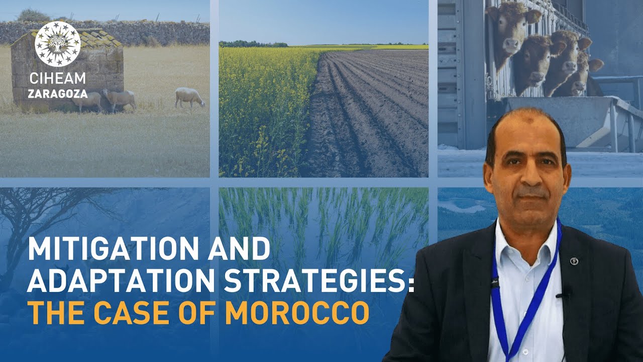 Climate change adaptation and mitigation in Morocco: Interview with Rachid Mrabet (INRA)