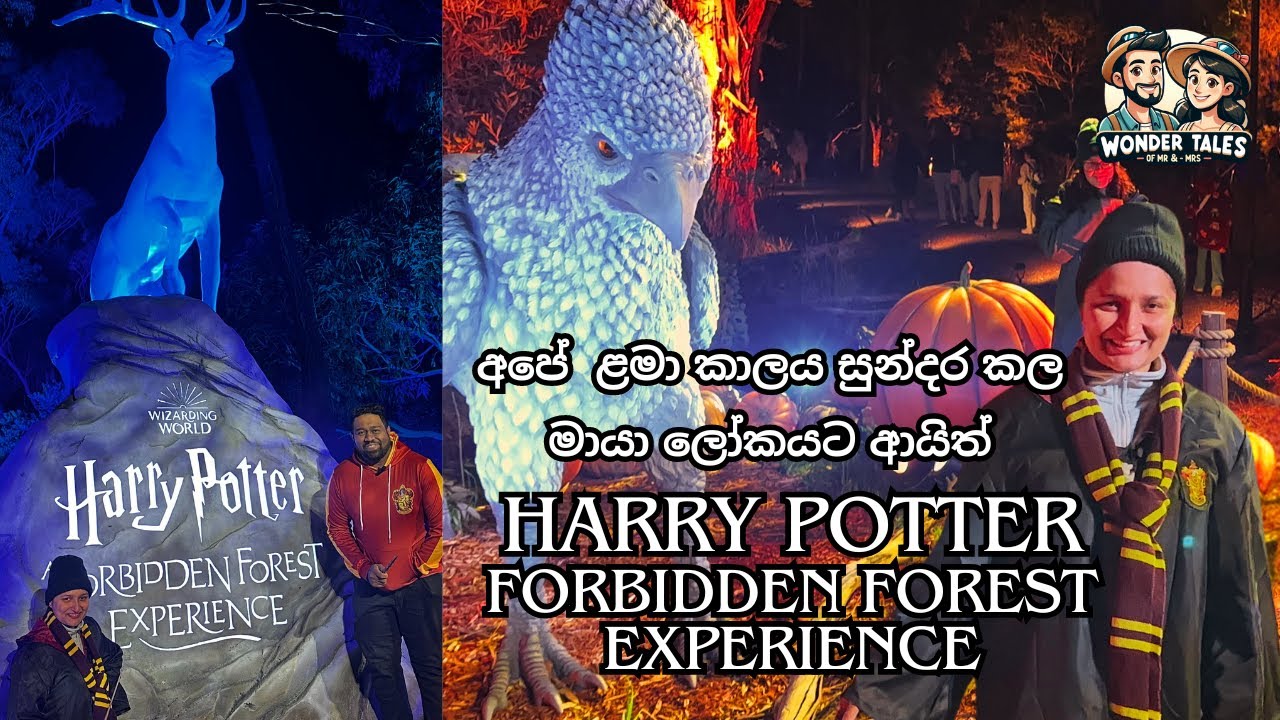 Harry Potter Forbidden forest Experience in Melbourne | සුන්දර මායා ලෝකයට ආයිත් | Wizarding World