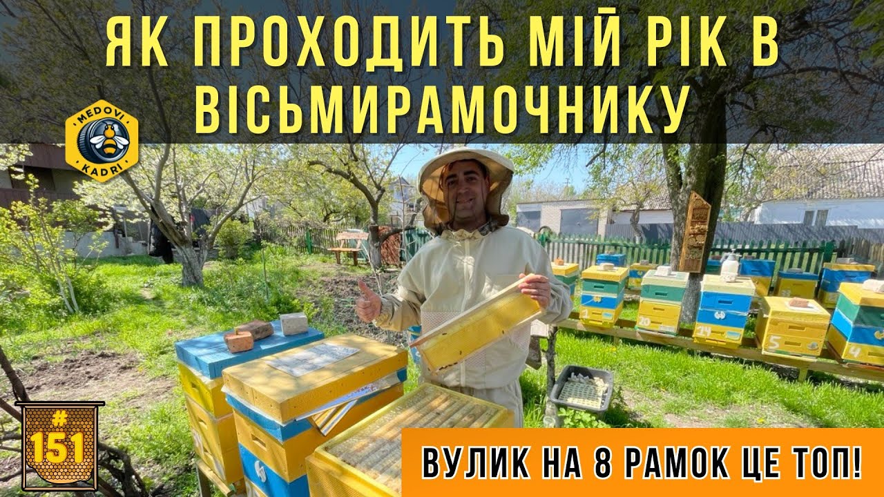 Мій річний цикл в вісьмирамковому вулику
