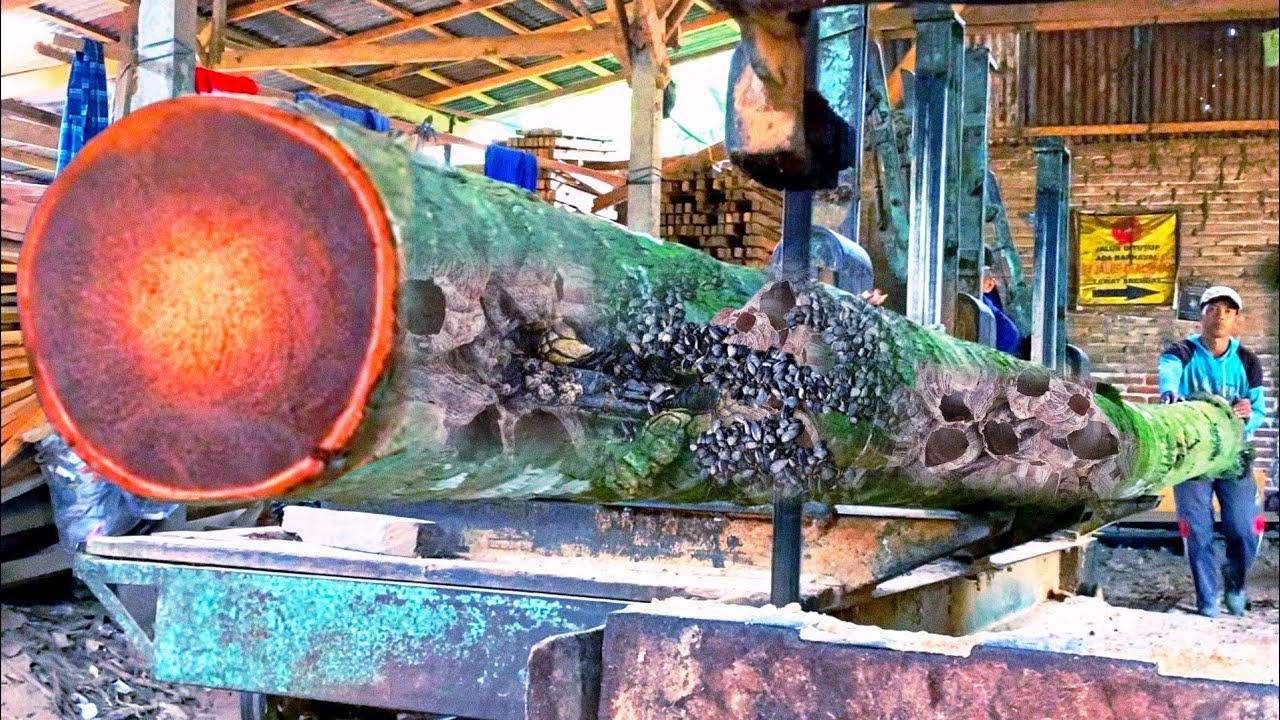 Proses penggergajian kayu kelapa sepanjang 10 meter bahan balok kontruksi