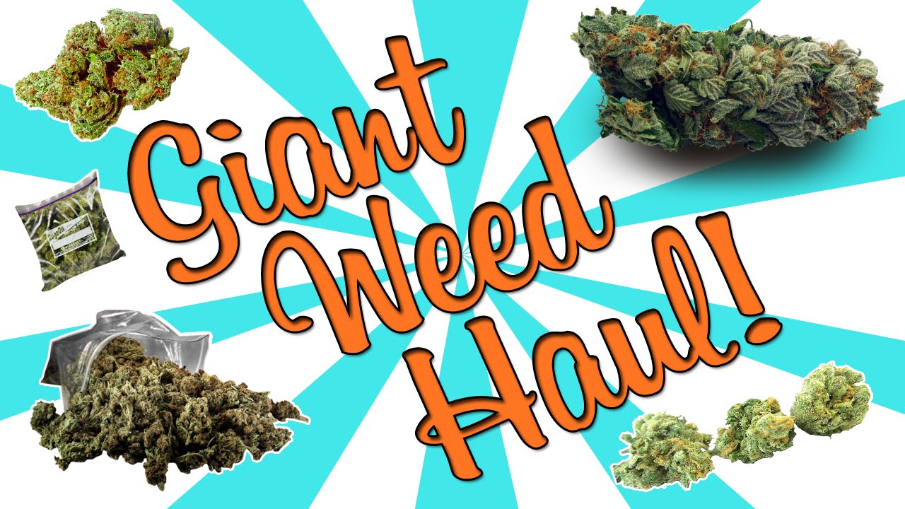 GIANT WEED HAUL!!