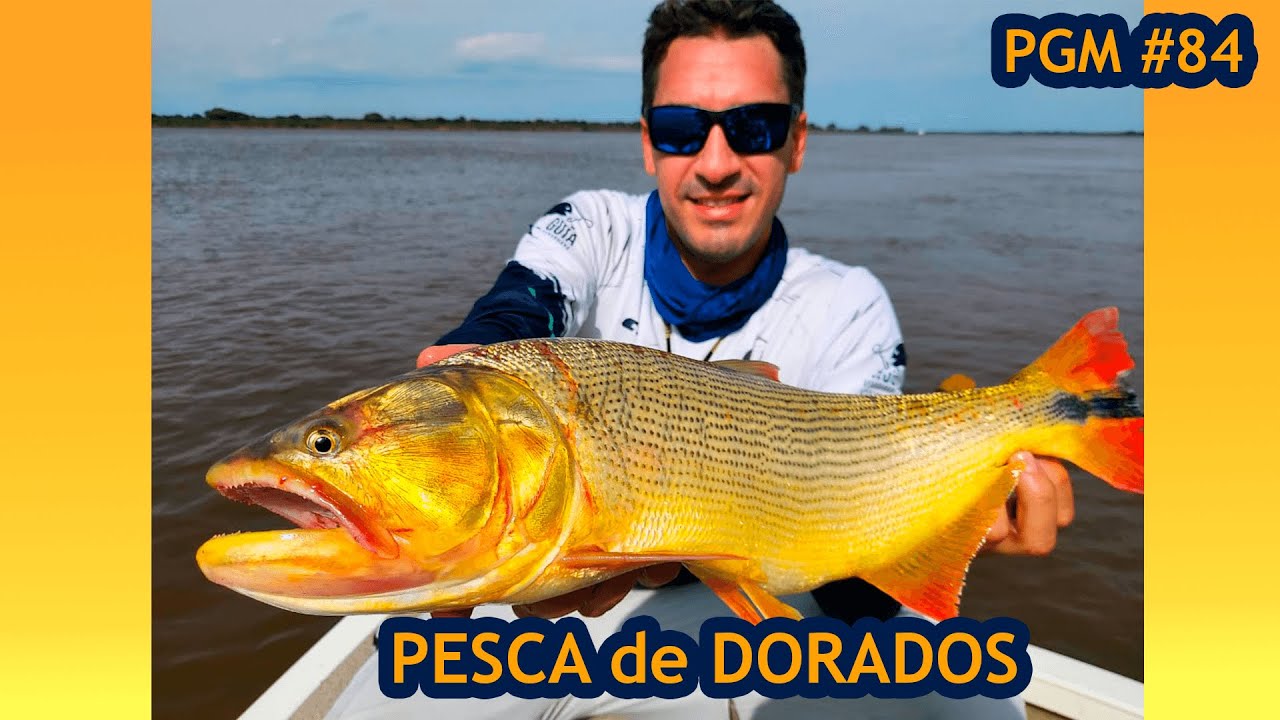 PESCA DE DORADOS EN EL R&Iacute;O PARAGUAY