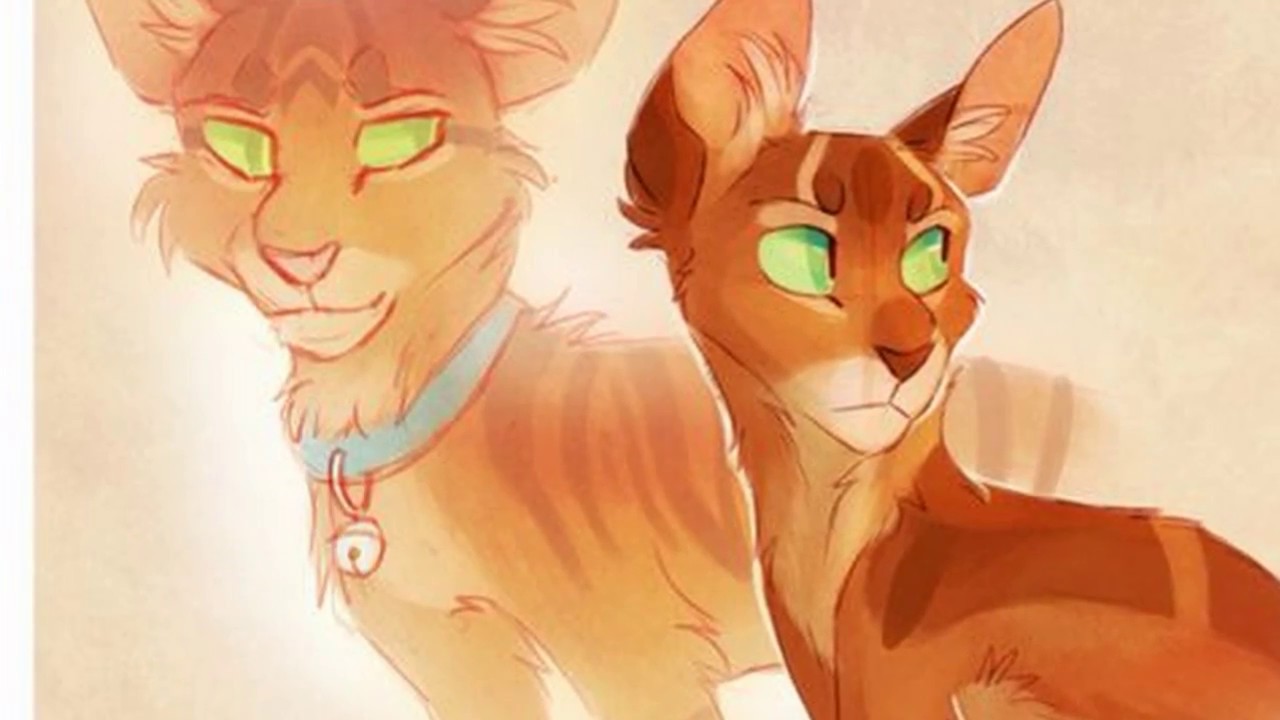 Riesenstern und Jake|warrior cats