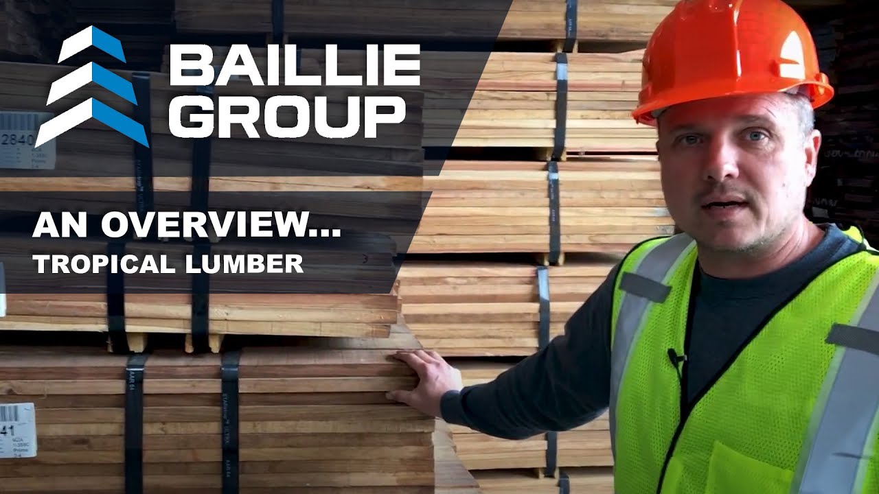 Baillie Lumber Tropical Hardwood Lumber Overview- Cove City, NC