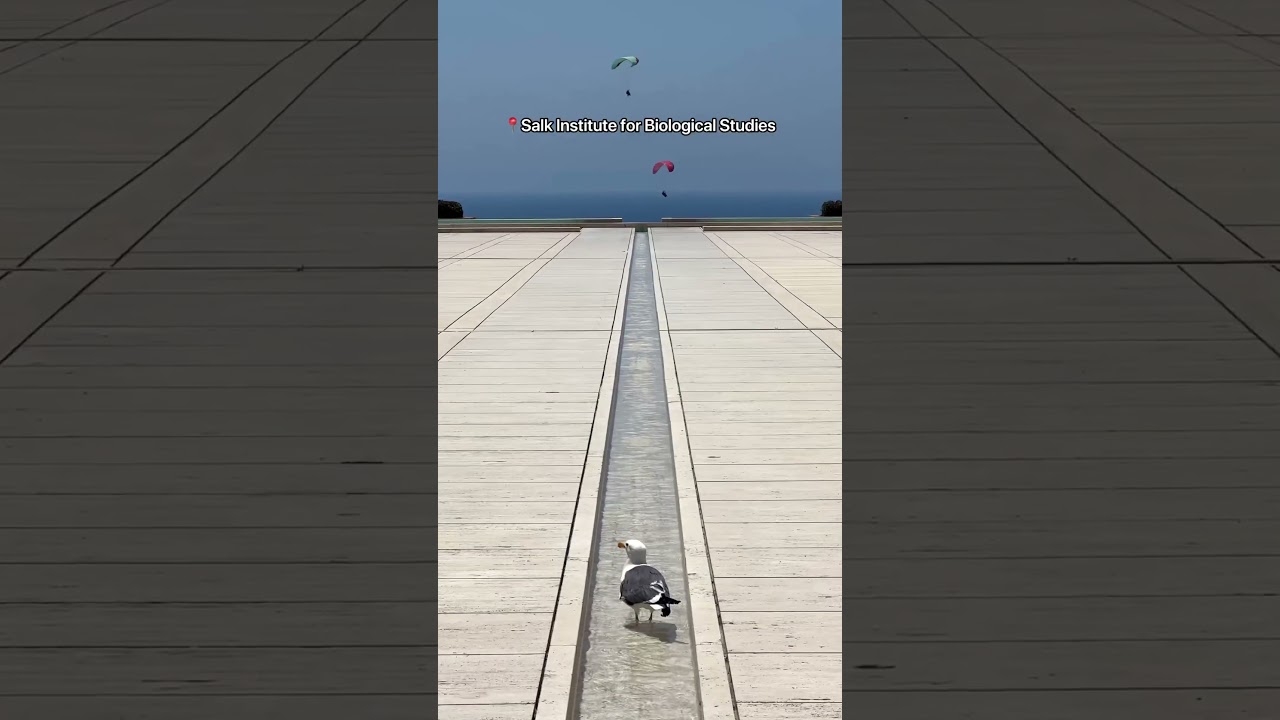 Most Significant Architectural Site in California - Salk Institute