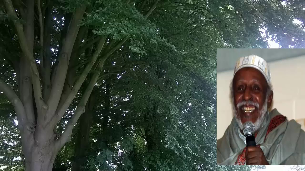 Hadraawi  Maansaddii HAMBAABIR iyo Heeliyo ee habaar biiray dhaqankii