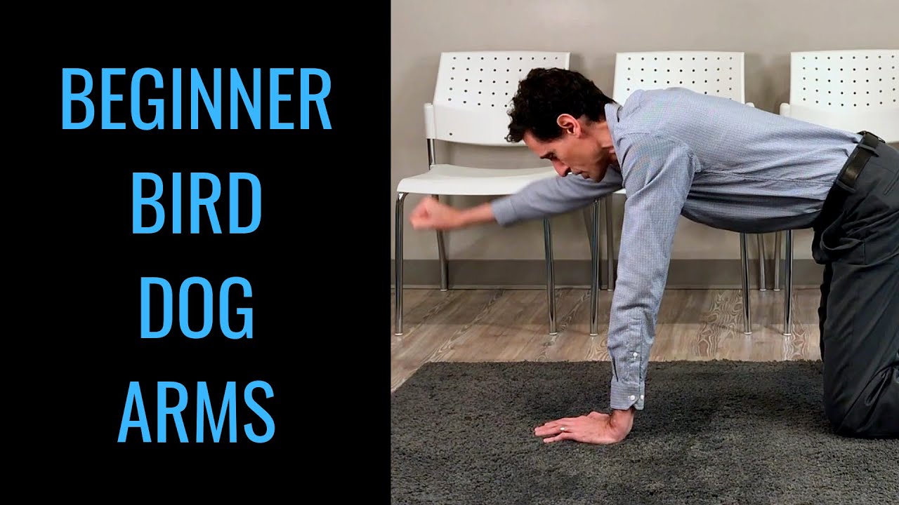 Beginner bird dog exercise arms only by chiropractor in Toronto Dr. Byron Mackay