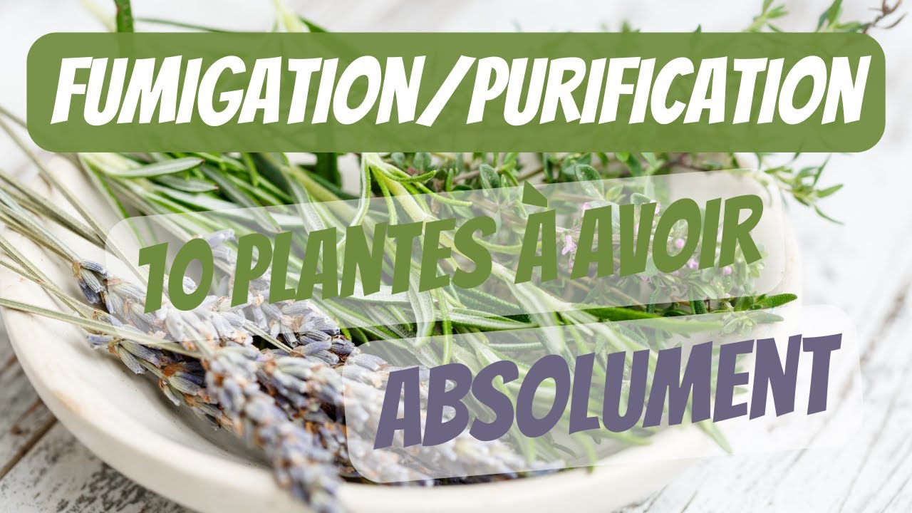 10 plantes et encens de #purification à absolument avoir #fumigation #nettoyageenergetique
