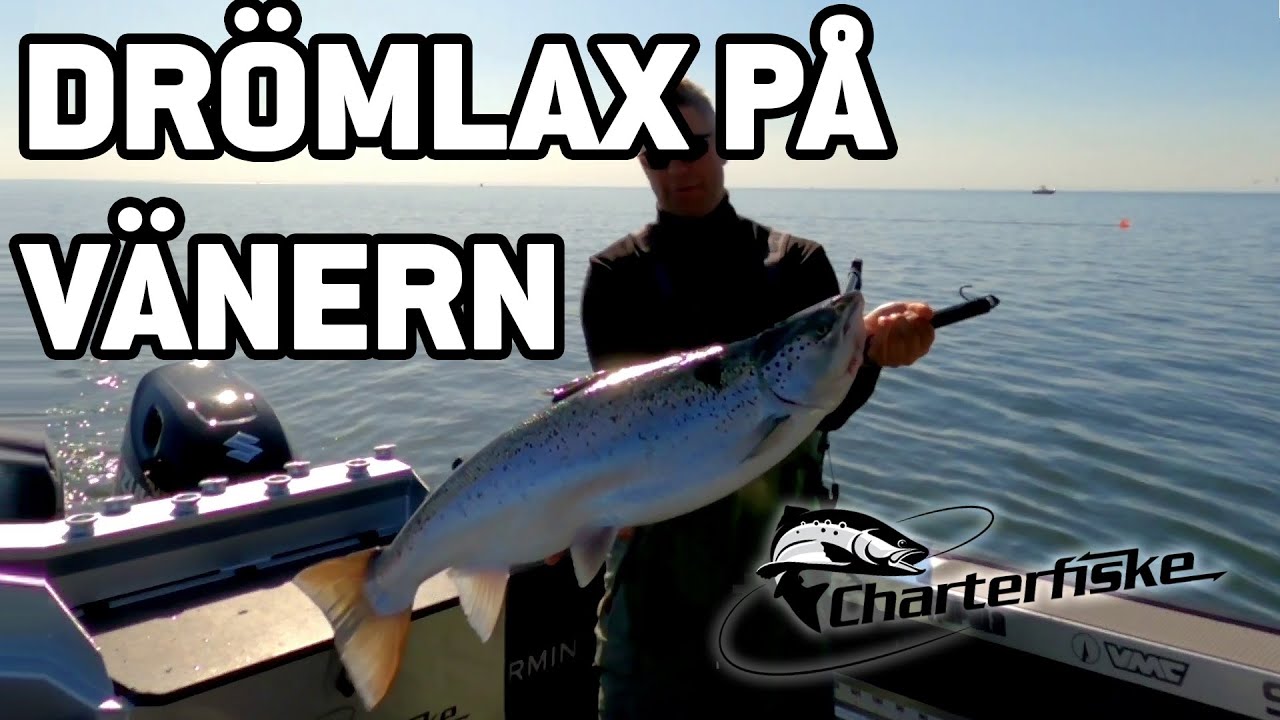 Drömlax (+10 kg) på Vänern - en trollingfiskares dagbok