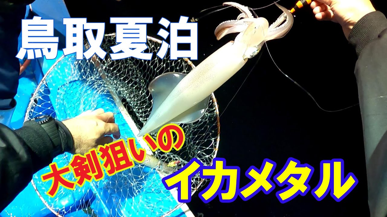 【イカメタル】2024年 大剣狙いの白イカ釣り　アジは爆釣！