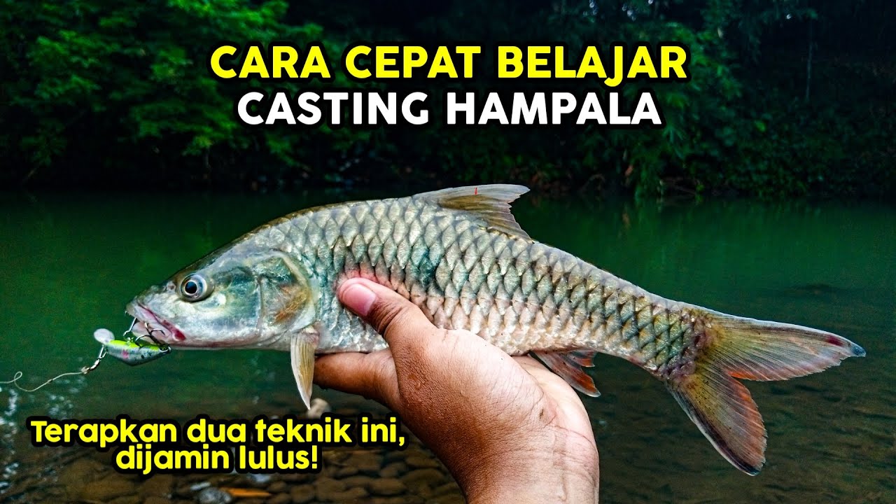 RAHASIA BELAJAR CASTING HAMPALA SUPAYA CEPAT STRIKE | 100% PASTI LULUS