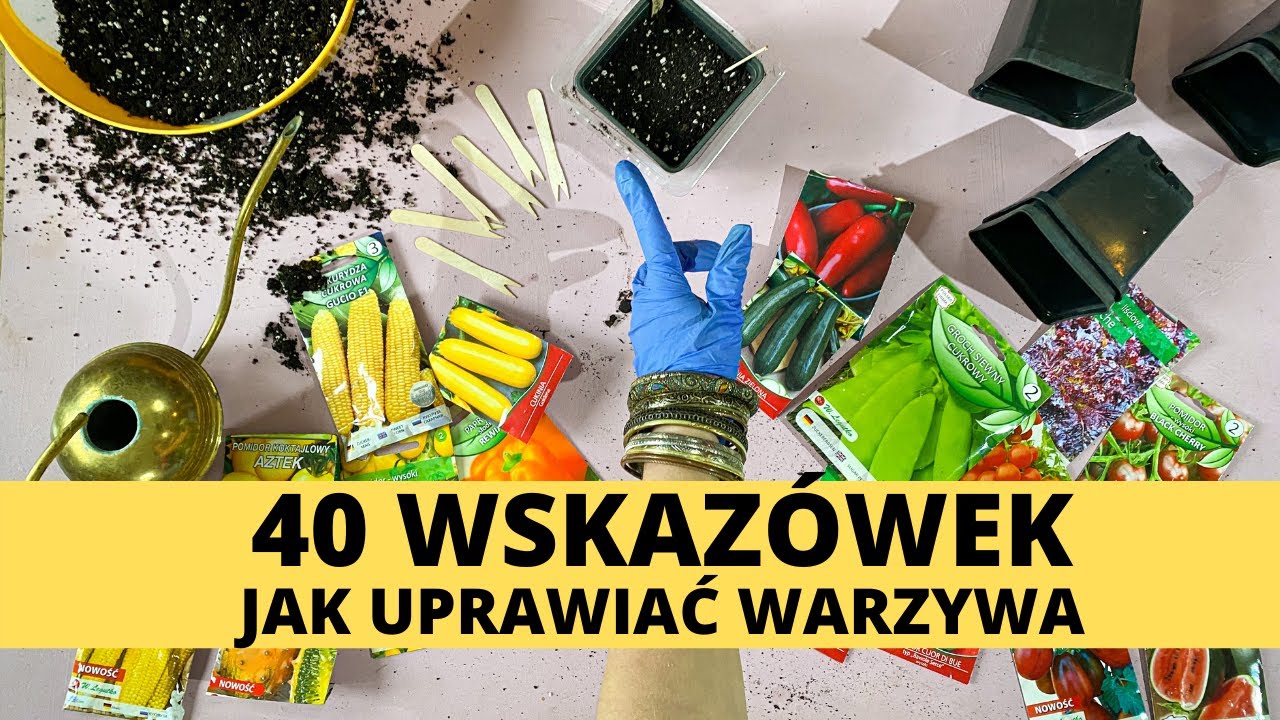 40 wskazówek jak uprawiać, wysiewać warzywa i zioła z nasion. Jak podlewać i dbać o siewki, rozsady🌱