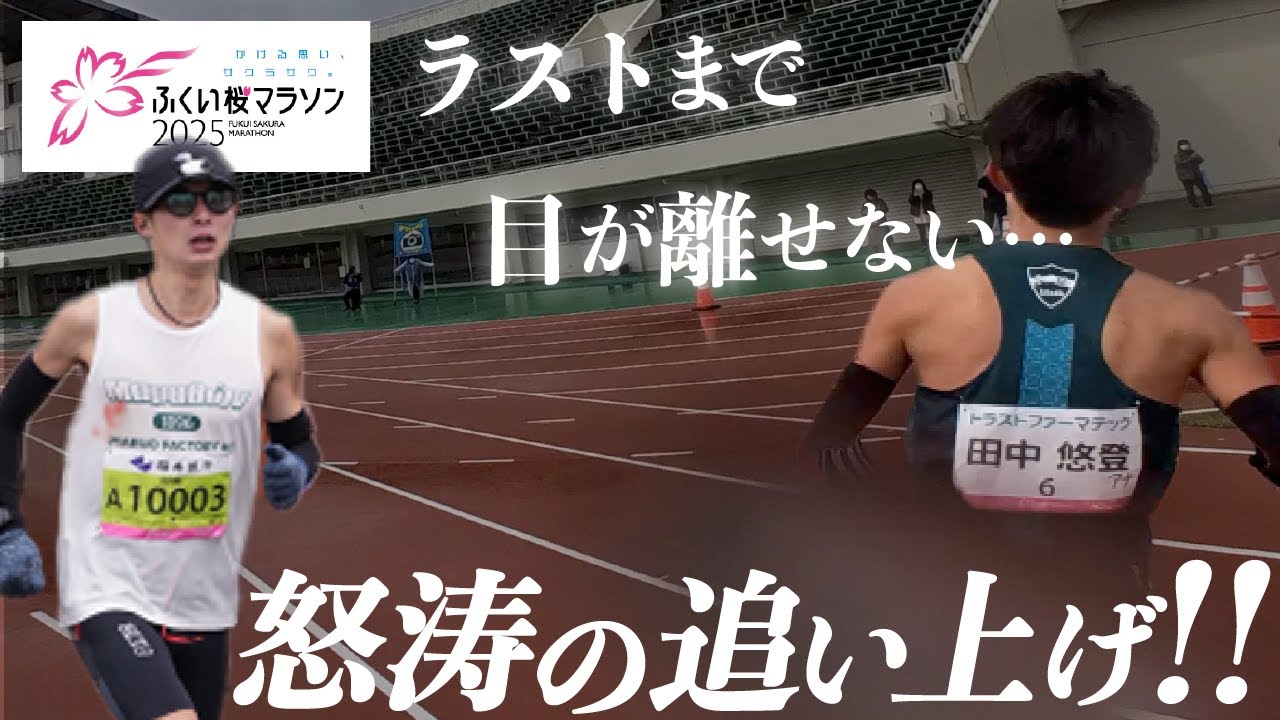 【神回】ふくい桜マラソン2025が楽しすぎた