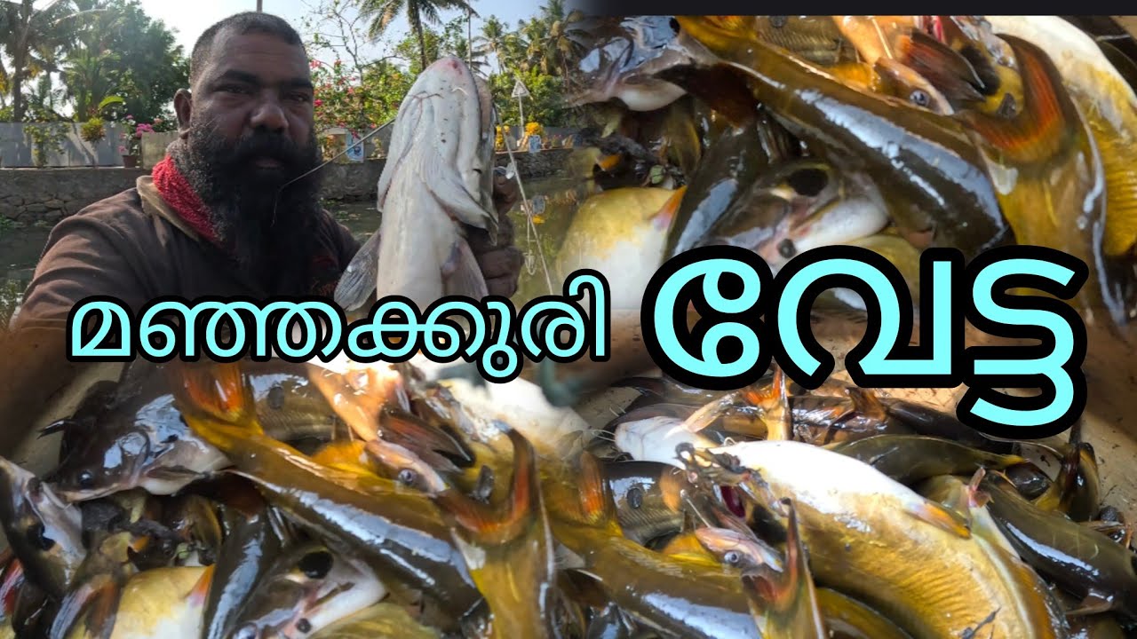 മഞ്ഞക്കുരി വേട്ട #realfishing #reallife #fishing 