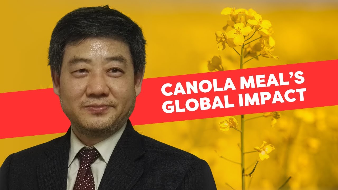 Dr. Charles Qin: Canola Meal in Feed