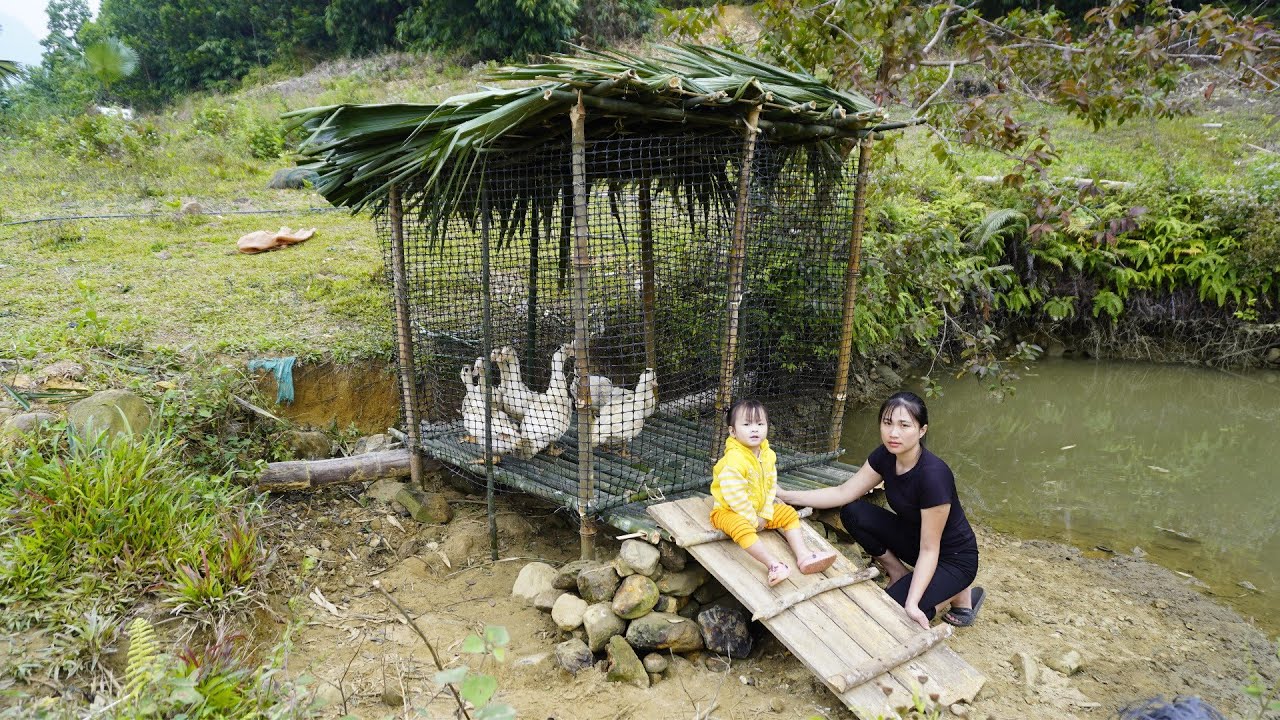 Life in a Small Wooden House in the Forest - Ly Tieu My Builds a Livestock Farm Alone