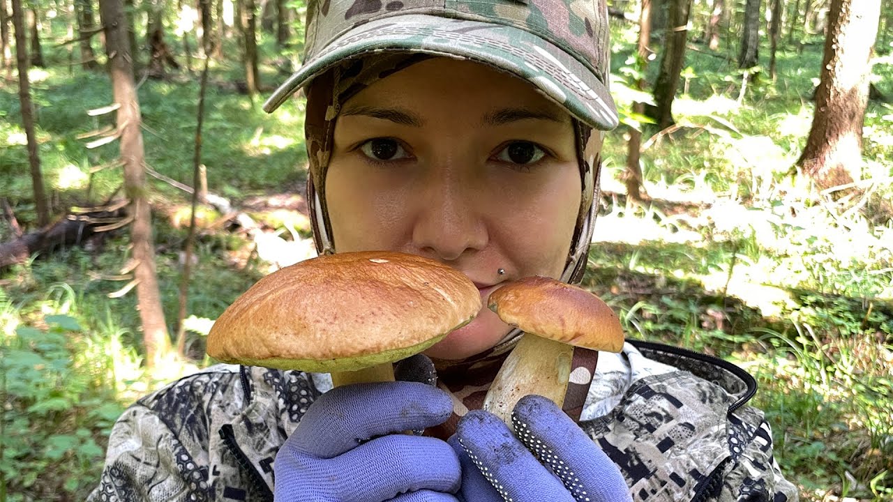 Поздняя вылазка в лес за белыми грибами. Забрались в бурелом по кабаньим тропкам.