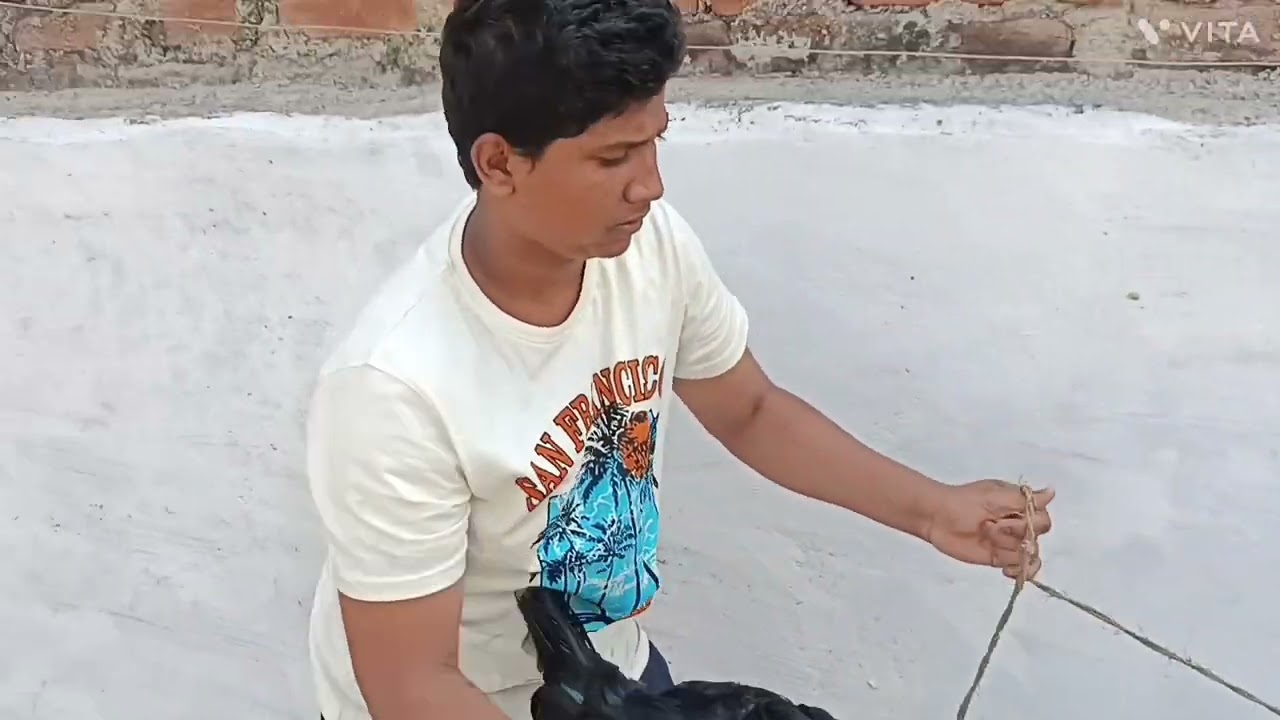 About my pet's kadathnath hen male and female and goat