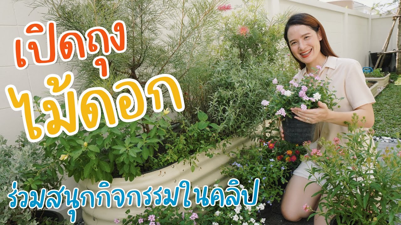 เปิดถุงช้อปปิ้ง ไม้ดอกไม้ประดับ และร่วมสนุกกิจกรรมแจกของในคลิป