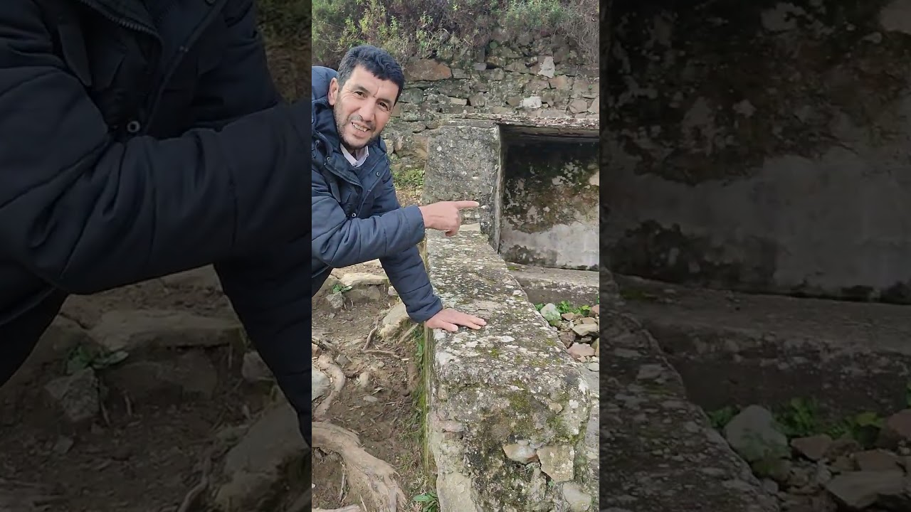 @Les racines en plein air d'un olivier centenaire, à coté de la fontaine du village
