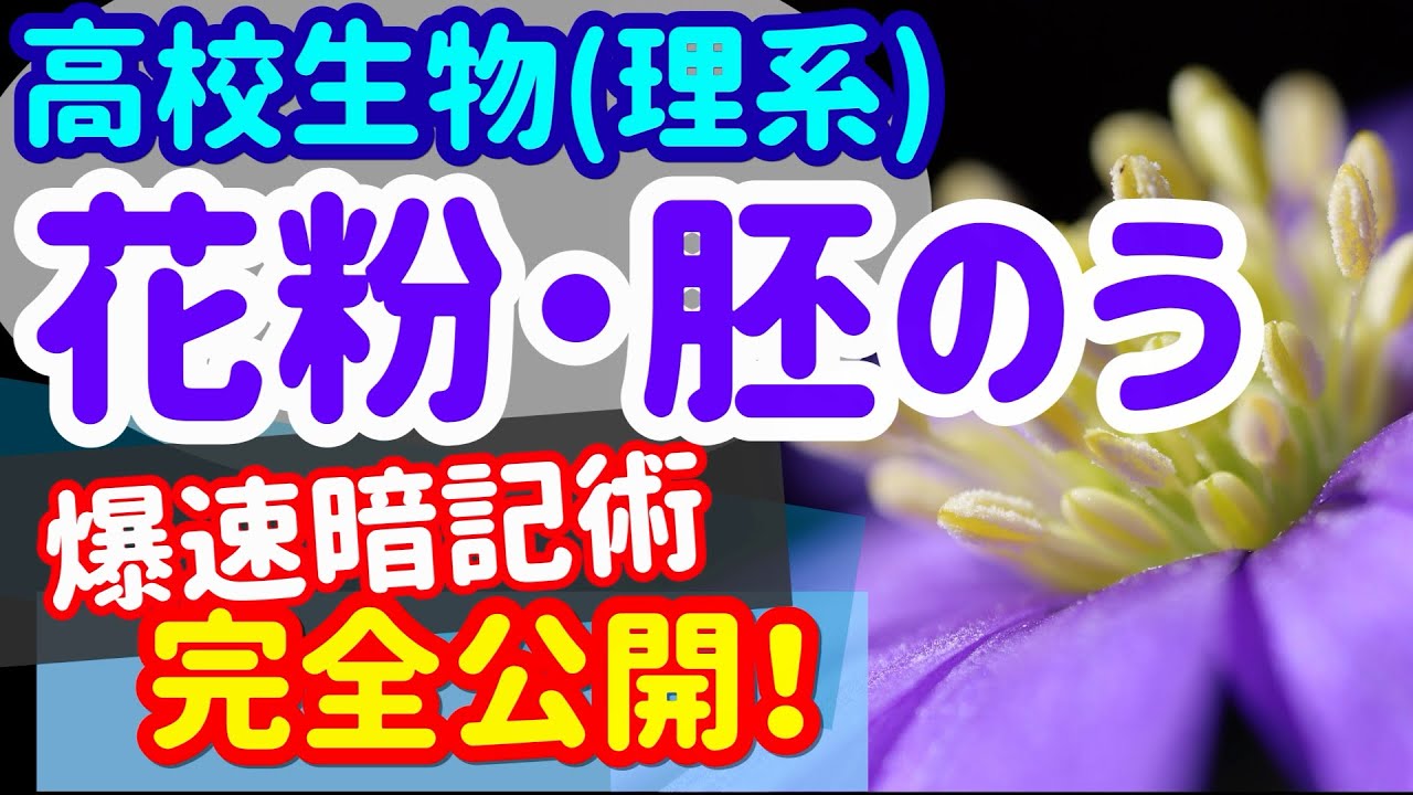 【高校生物 31】【植物の配偶子】を宇宙一わかりやすく