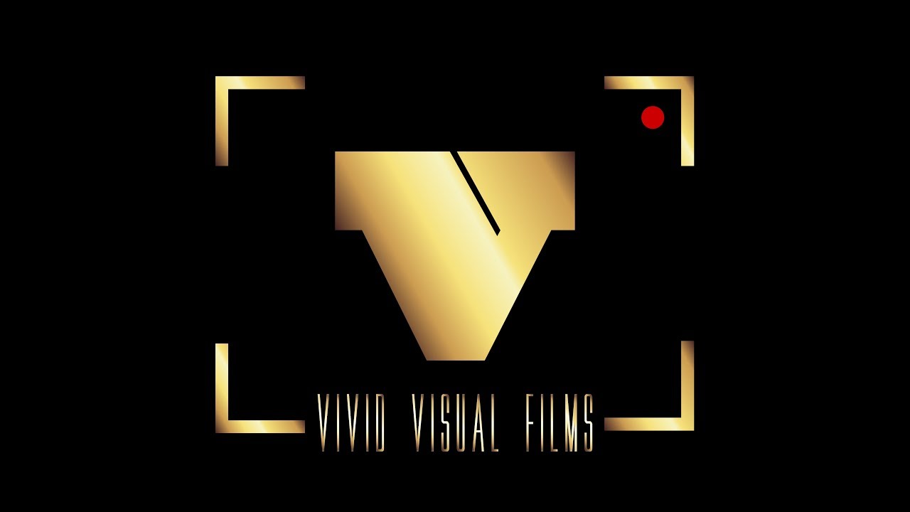 2018 VIVID VISUAL FILMS RECAP