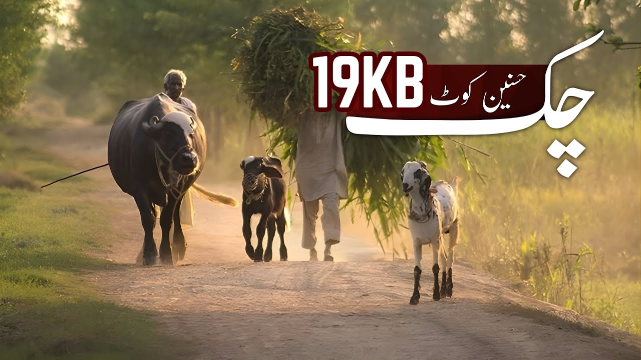 Village Vlog Boht hi Khoobbsurat Alfaz Aur Gaun K Natural Scenes K Sath | 19KB Pind Punjab Pakistan