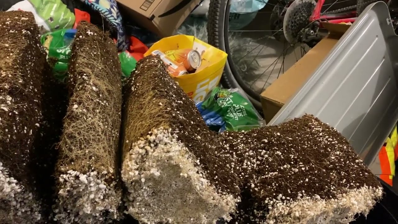 Cannabis Growing in Plastic vs Fabric Pots  - Final Thoughts