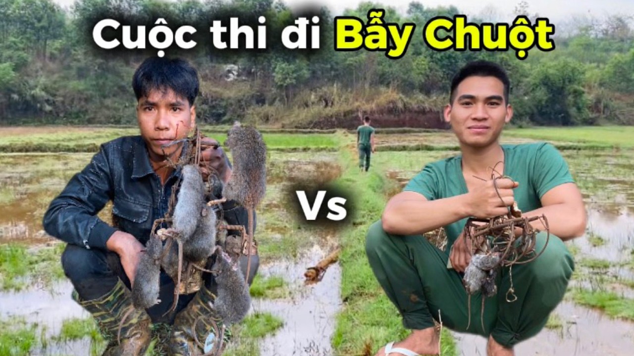 Cuộc thi đi bẫy chuột và cái kết | vieng day