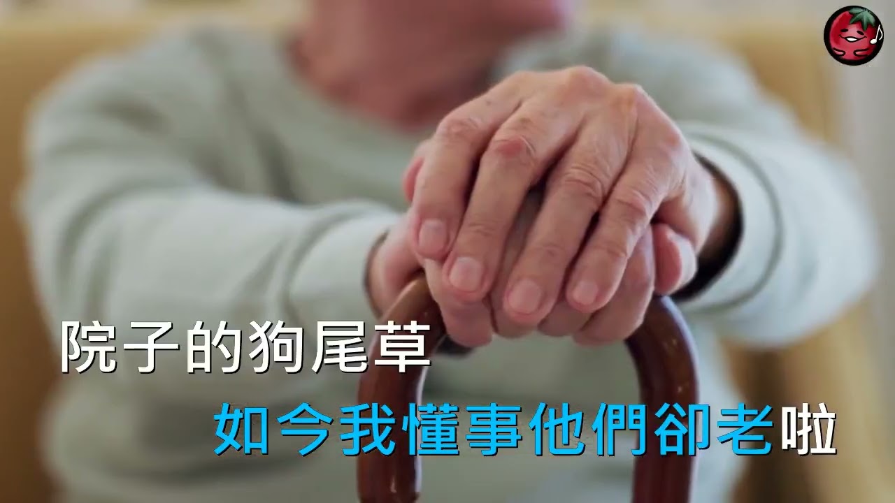 新歌推薦#童年老家/馬健濤（導唱字幕）好聽