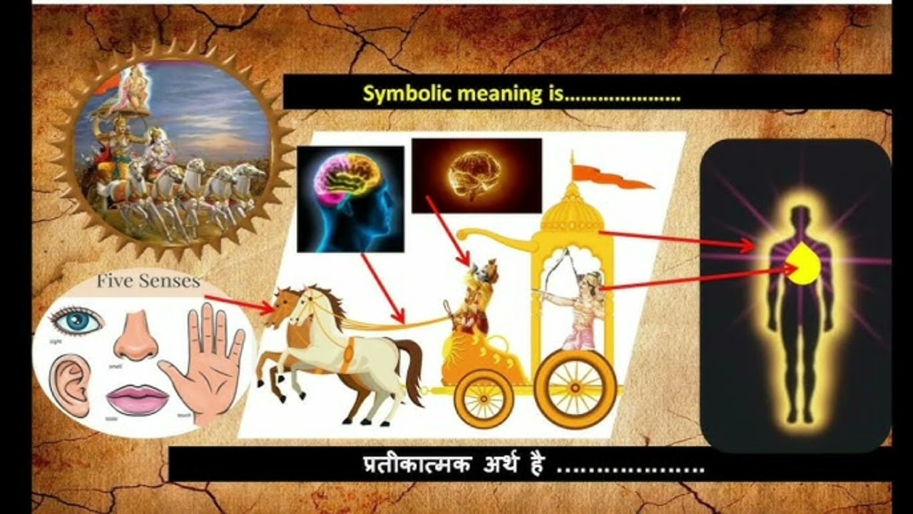 Panchkoshiya Vikas | Samagra Vikas | Holy Faith Convent School