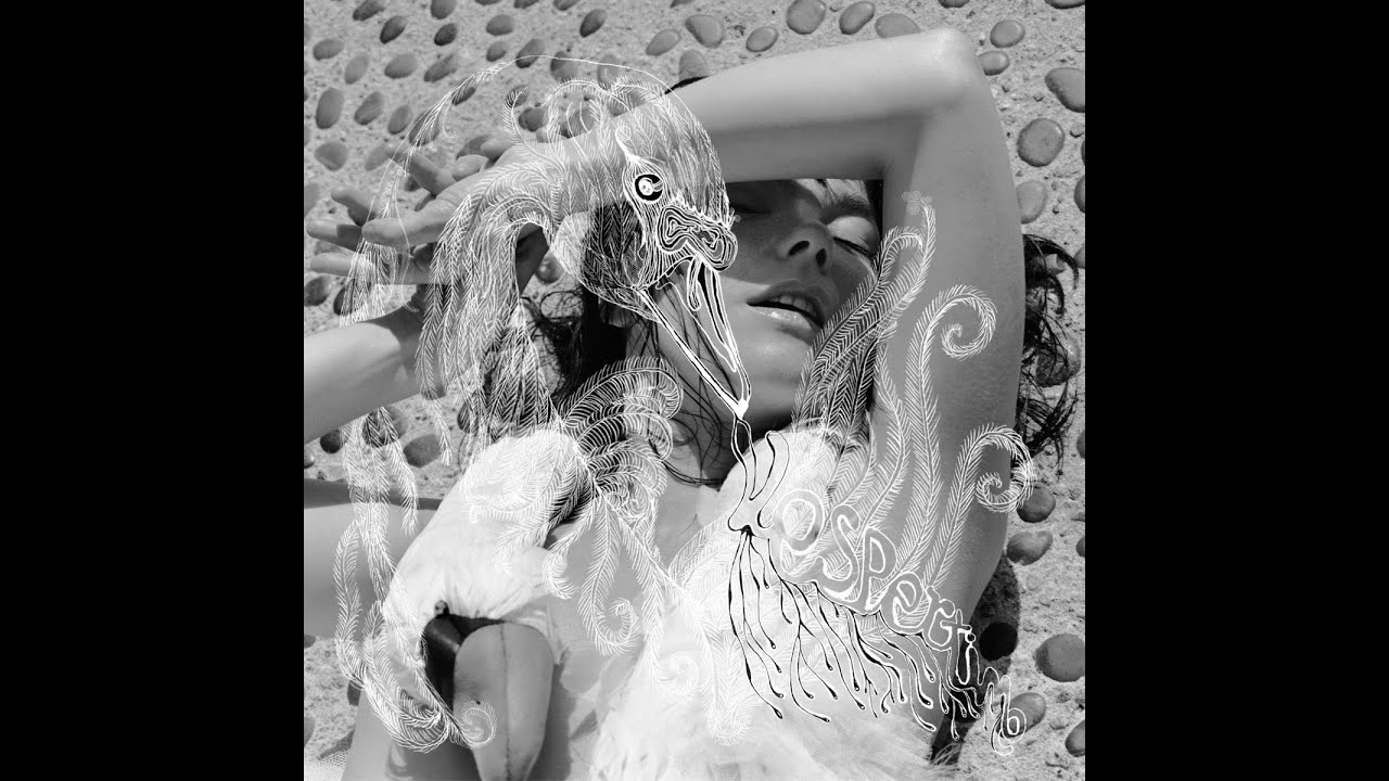 Bjork - Vespertine (SAMPLES)
